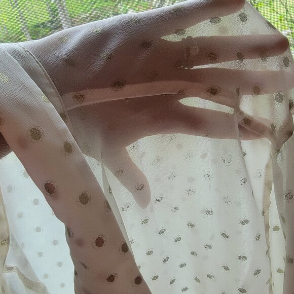 Sheer Button Front Blouse, Beach Cover, Evening Wear - Picture 4 of 6